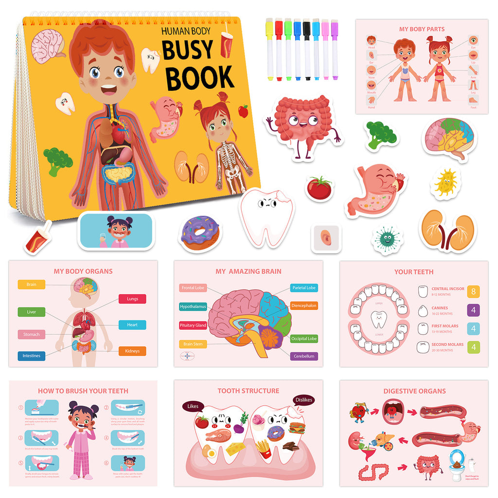 Early Education Quiet Book